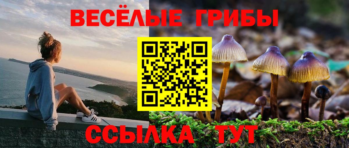 Галлюциногенные грибы Psilocybe Артёмовский